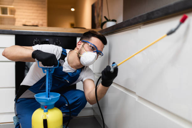 Best Affordable Pest Control Services  in Cloverdale, VA