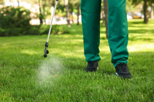 Pest Control for Restaurants in Cloverdale, VA