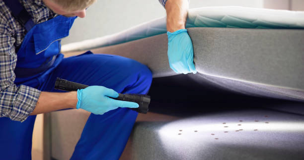 Best Pest Control Near Me  in Cloverdale, VA