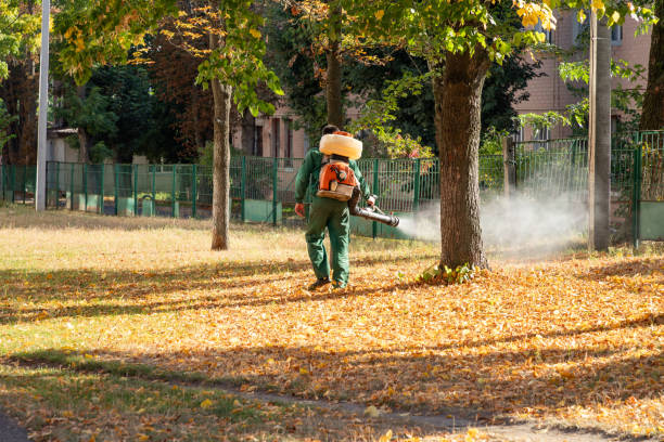 Trusted Cloverdale, VA Pest Control Experts