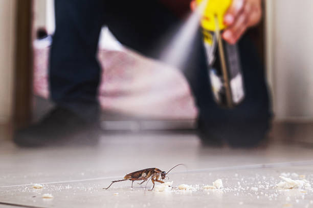 Best Pest Removal Services  in Cloverdale, VA